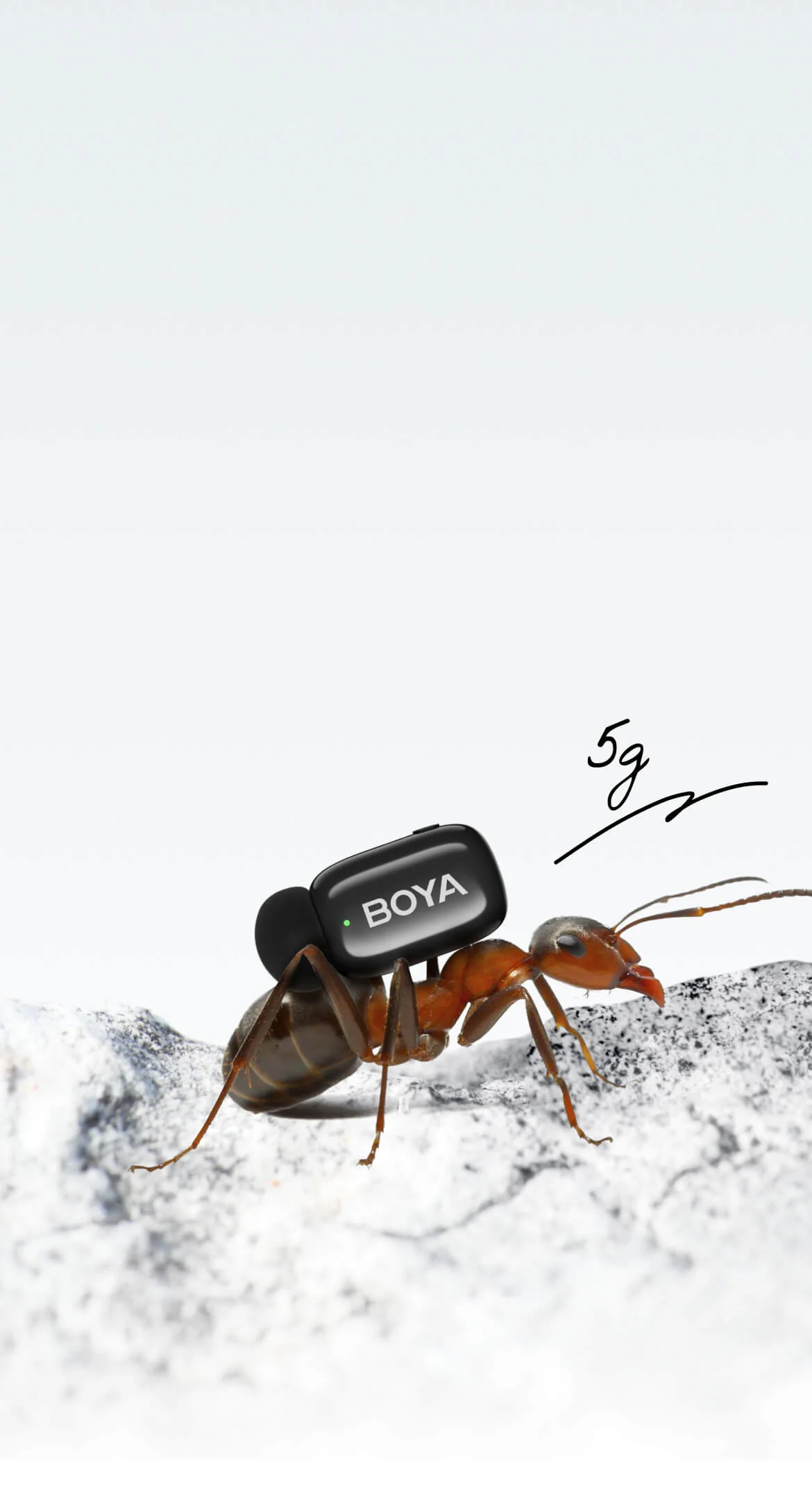 看着小，别小看